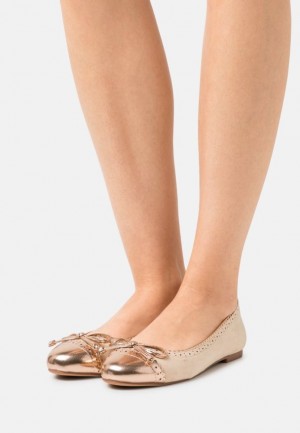 Anna Field Ballet Pumps Ballerina Dam Beige | VNK-954682