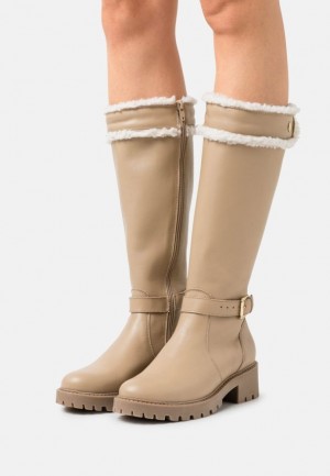 Anna Field Läder Boots Stövlar Dam Grå Bruna | DFQ-367208