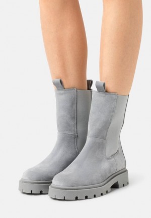 Anna Field Läder Platform Ankle Boots Stövletter Dam Grå | VNI-937608